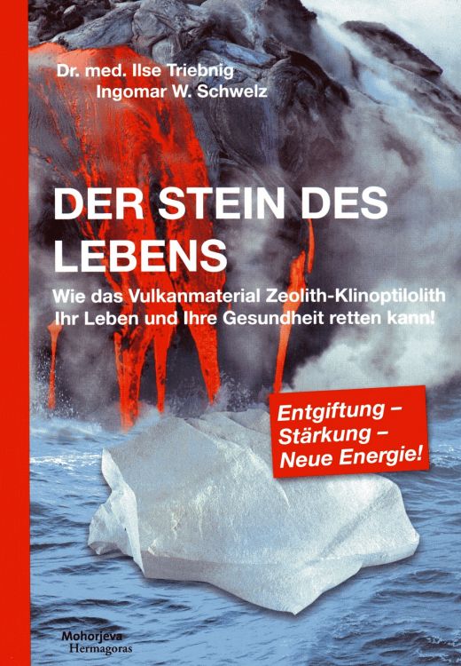Cover: Der Stein des Lebens