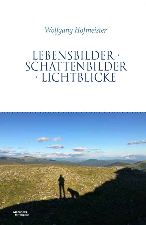 Cover: Lebensbilder Schattenbilder Lichtblicke