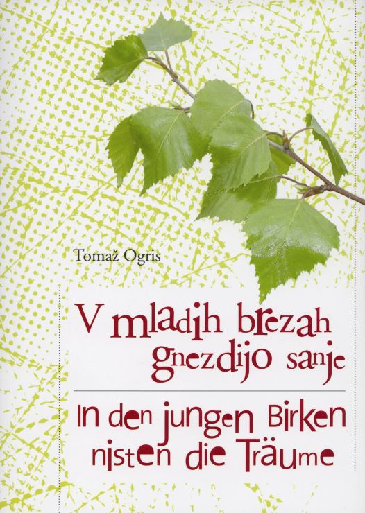 Cover: V mladih brezah gnezdijo sanje / In den jungen Birken nisten die Träume